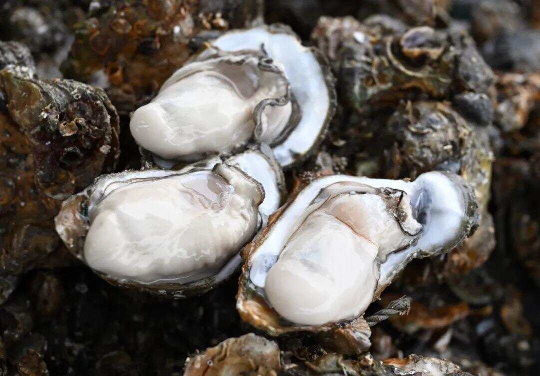 广东“媒体+”有了湖南“小伙伴”，湖南首份“媒体+”呼之欲出-第4张图片