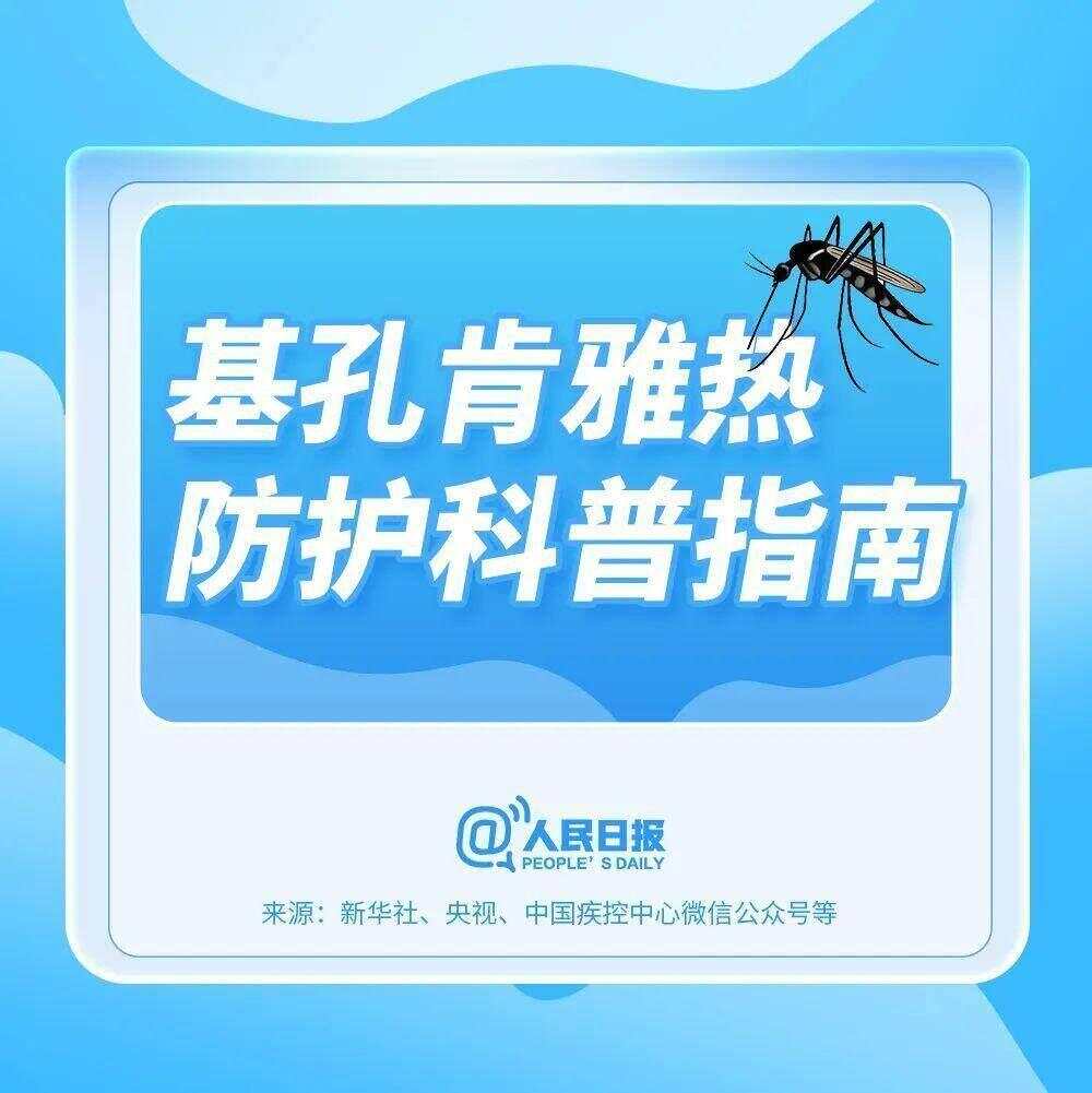 北方省份已现白纹伊蚊，基孔肯雅热全球流行范围持续扩大-第1张图片