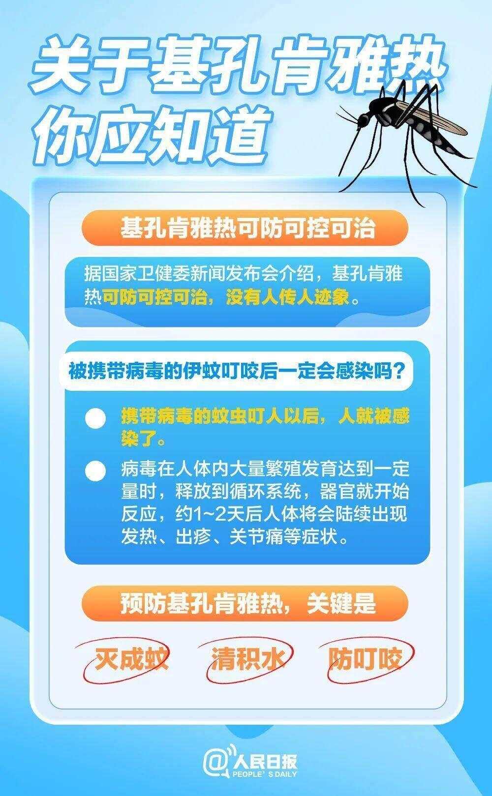 北方省份已现白纹伊蚊，基孔肯雅热全球流行范围持续扩大-第4张图片