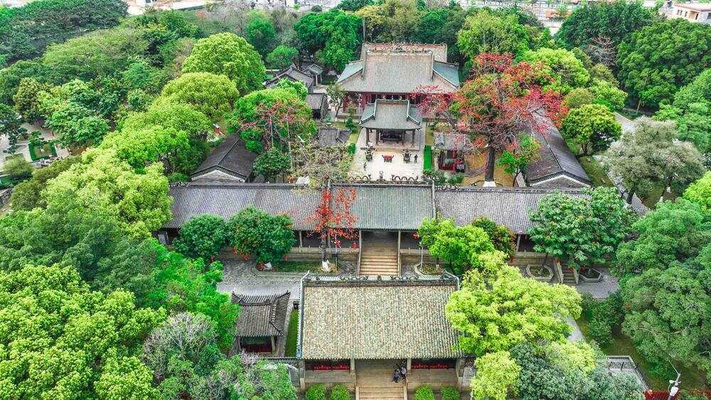 2025年“羊城八景”：黄埔云帆-第1张图片