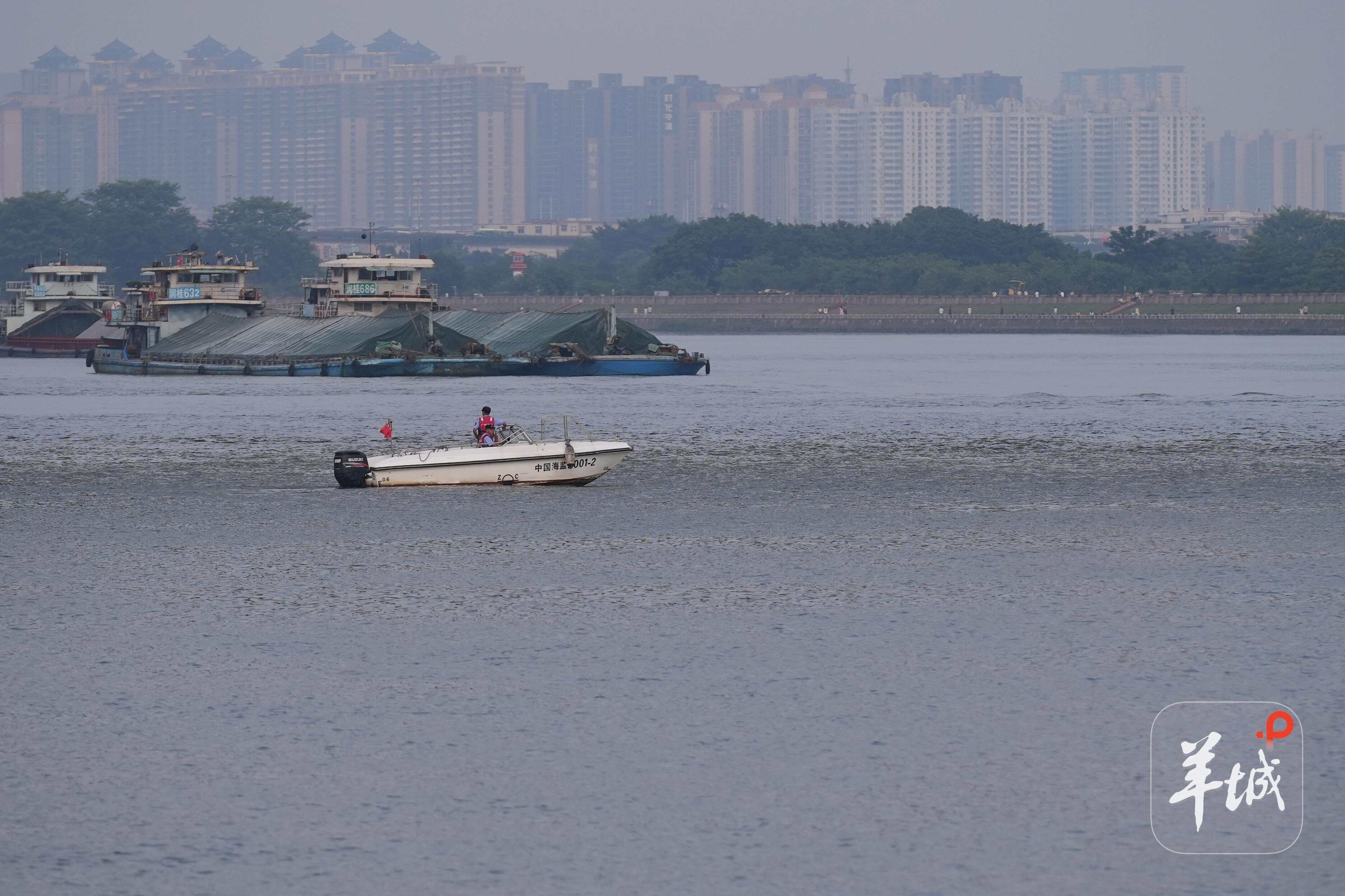 中华白海豚获救记：误入珠江7天，无数人在托举“小白”-第6张图片