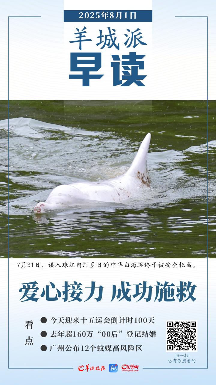 早读丨十五运会迎倒计时100天；游入珠江的中华白海豚获救-第1张图片