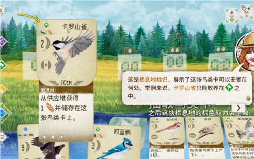 《展翅翱翔》游戏测评：可玩性到底有多高？-第1张图片
