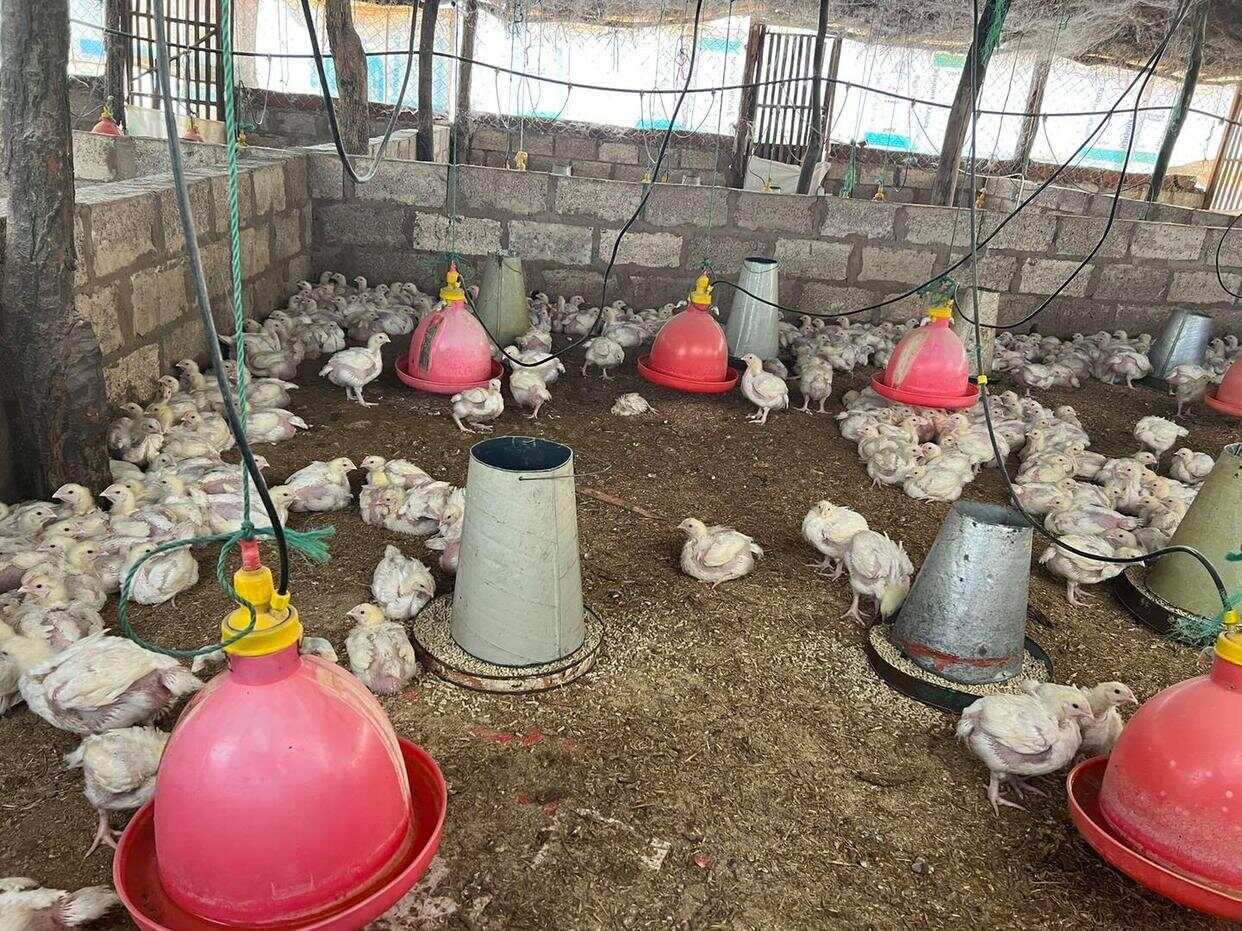 中国籍女农场主非洲失踪近30天，已确认遇害-第1张图片