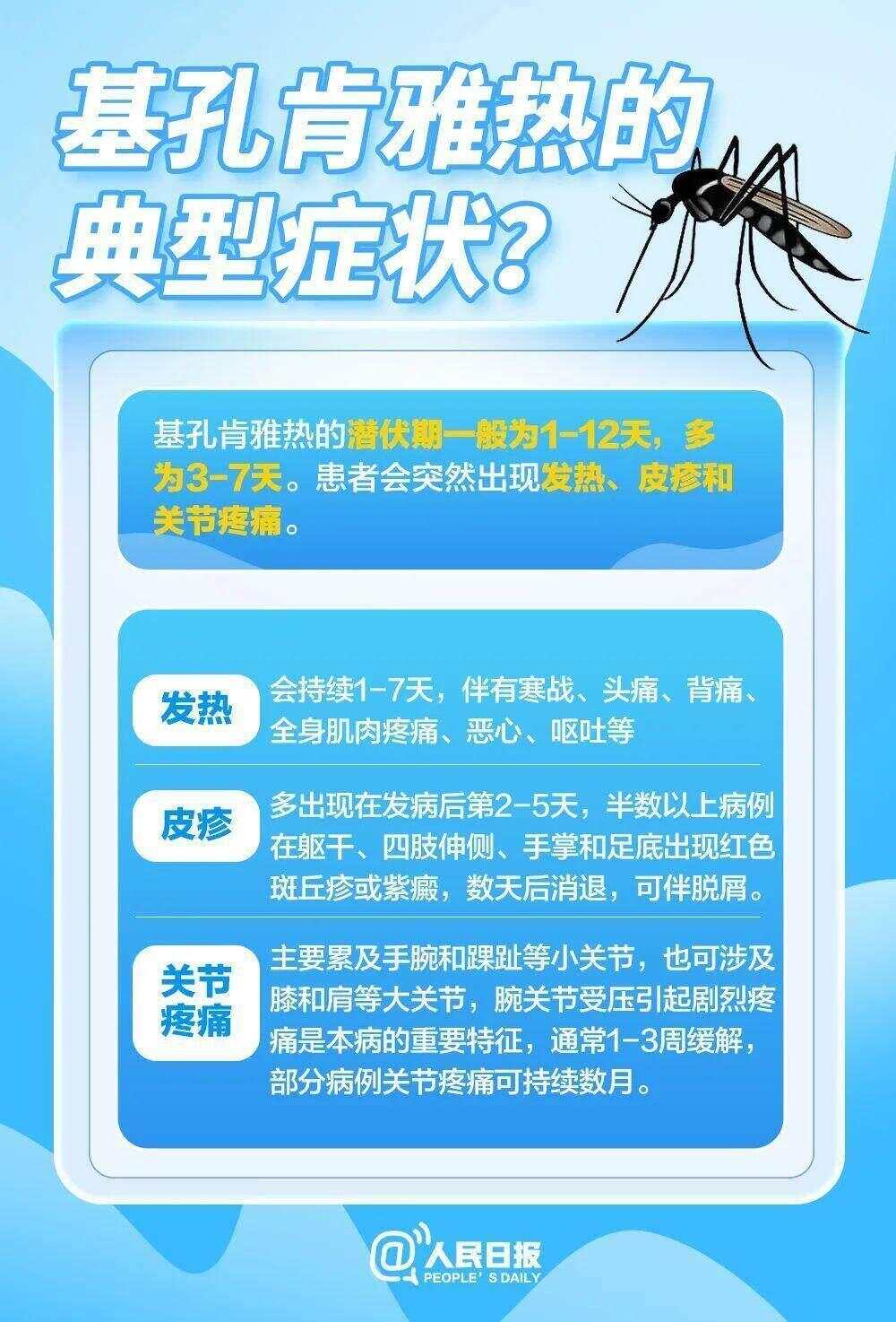 北方省份已现白纹伊蚊，基孔肯雅热全球流行范围持续扩大-第3张图片