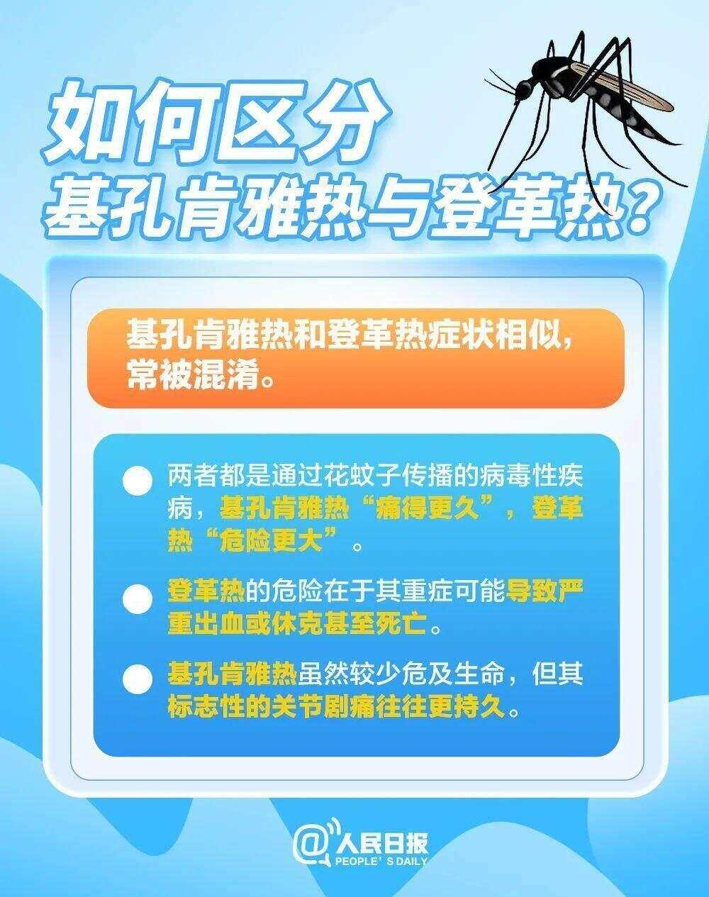 北方省份已现白纹伊蚊，基孔肯雅热全球流行范围持续扩大-第5张图片