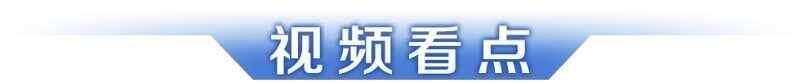 早读丨十五运会迎倒计时100天；游入珠江的中华白海豚获救-第11张图片