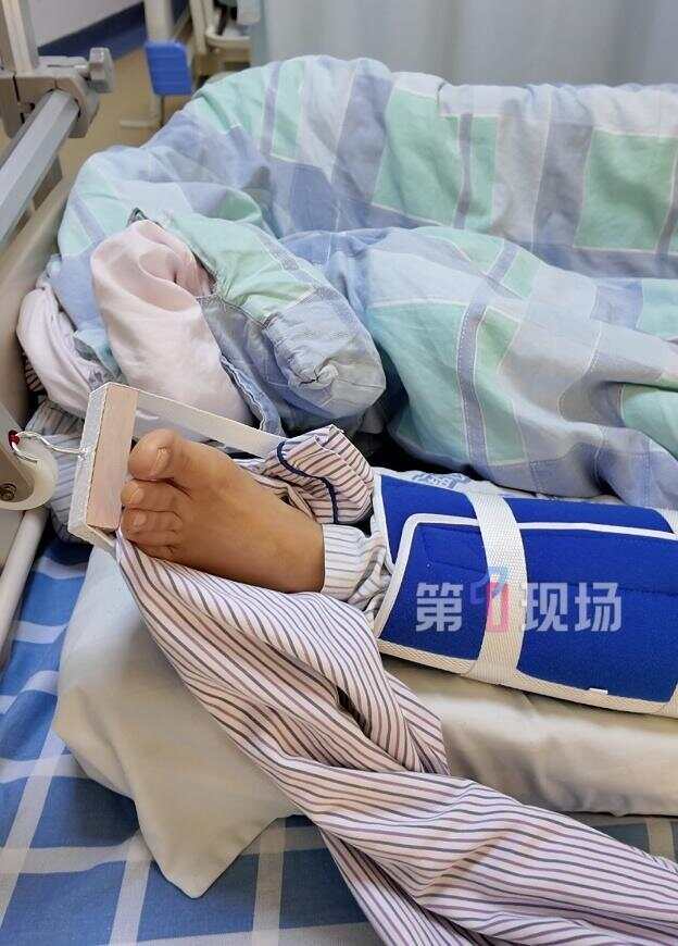 深圳大梅沙惊现野猪，一女子被撞致骨折-第2张图片