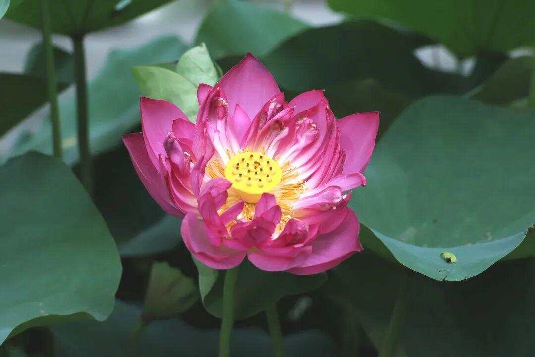 又有大暴雨！广东六部门发布防御提醒，主要强降水落区→｜温度记-第10张图片