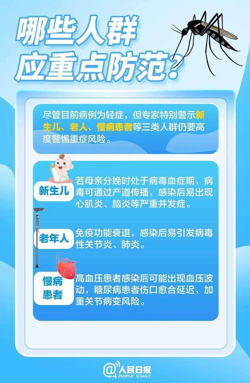 北方省份已现白纹伊蚊，基孔肯雅热全球流行范围持续扩大-第6张图片