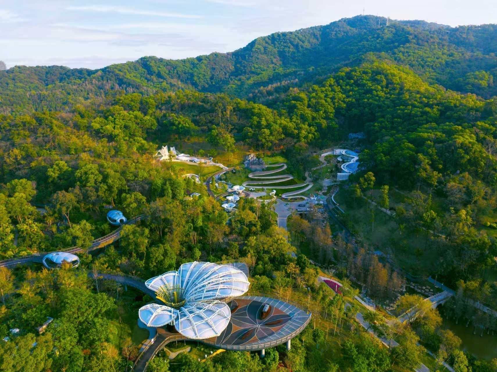 全城瞩目！2025年“羊城八景”评选名单正式揭晓-第2张图片