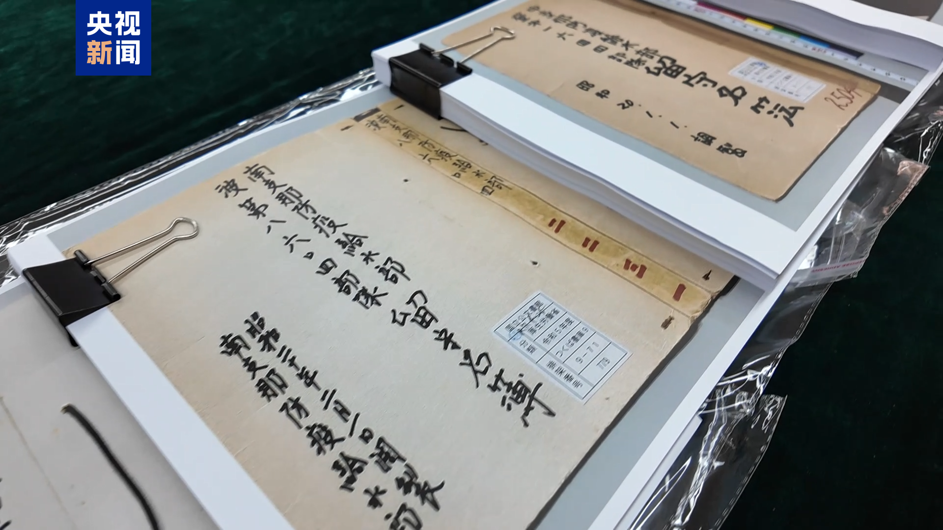 有组织的国家犯罪！侵华日军细菌战再添新罪证-第4张图片
