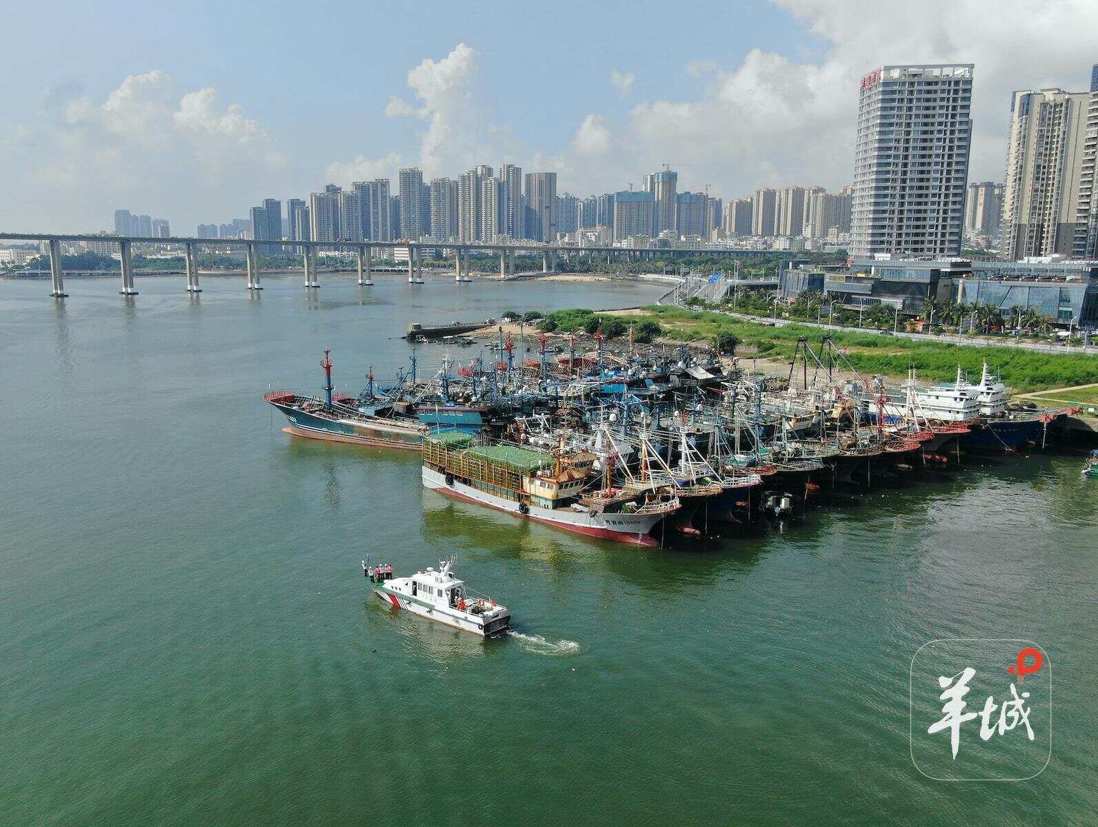 马上开渔了！湛江开启“2025护渔开渔行动”-第1张图片