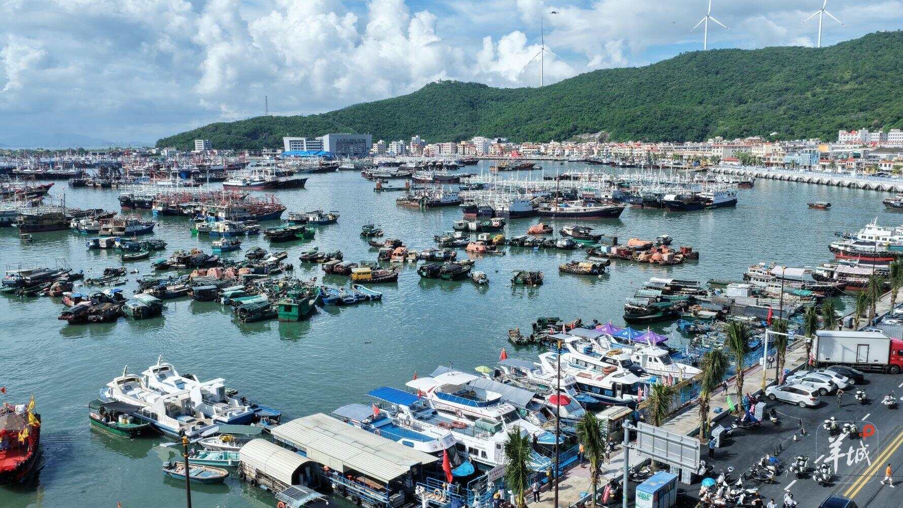 明日出海抢“鲜”！阳江闸坡千帆待发｜小羊拍客-第2张图片