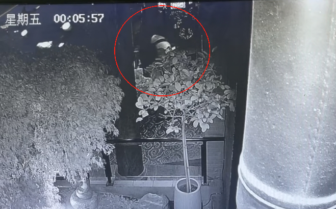 网友称丈夫被酒店养的猫抓伤，酒店回应：索赔2万元不合理，无法承担-第1张图片
