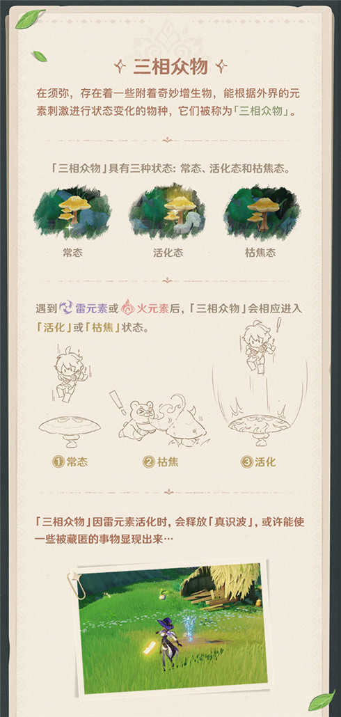 须弥冒险笔记002期：神奇生物在这里-第3张图片
