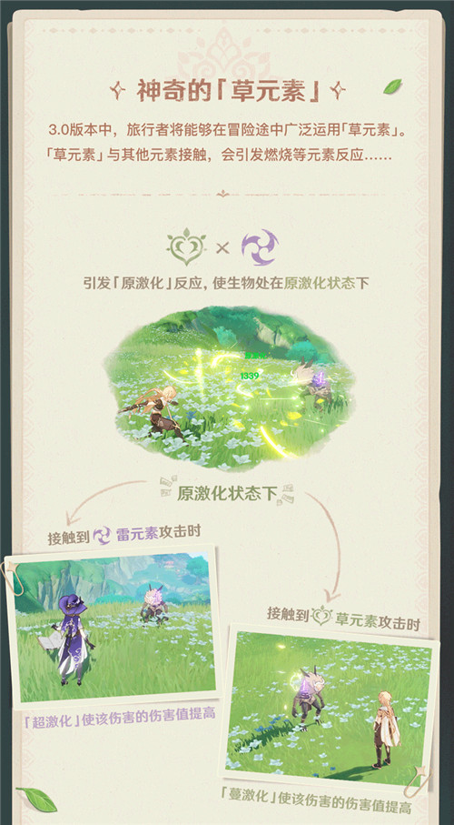 须弥冒险笔记001期 「草元素」-第4张图片