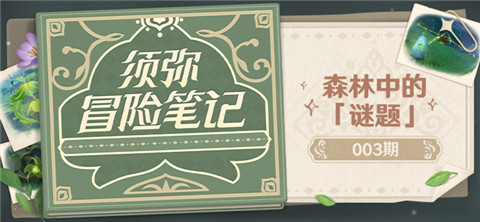 须弥冒险笔记003期：森林中的「谜题」-第1张图片
