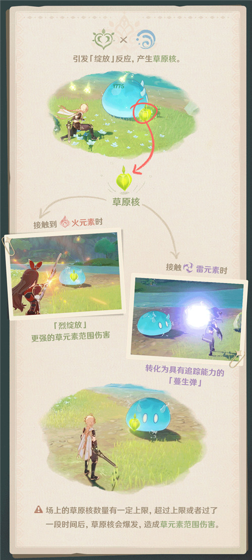 须弥冒险笔记001期 「草元素」-第6张图片
