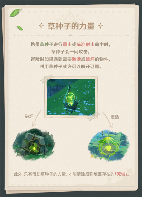 须弥冒险笔记003期：森林中的「谜题」-第3张图片