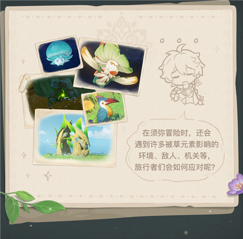 须弥冒险笔记001期 「草元素」-第7张图片
