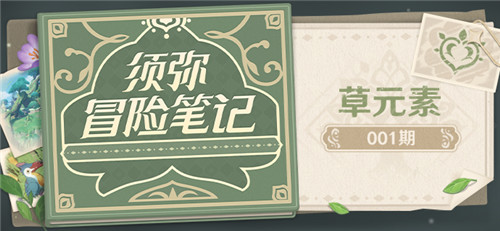 须弥冒险笔记001期 「草元素」-第1张图片
