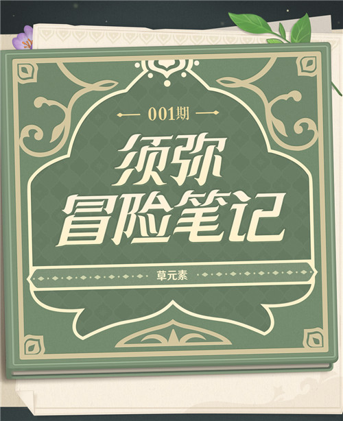 须弥冒险笔记001期 「草元素」-第2张图片