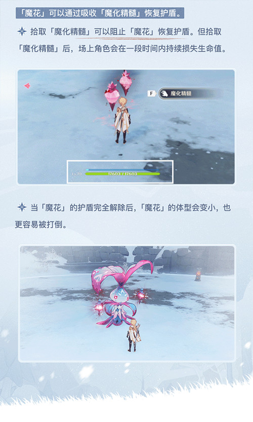 这株骗骗花好像格外强大?别慌,它的弱点是――-第2张图片 这株骗骗花好像格外强大?别慌,它的弱点是――-第2张图片