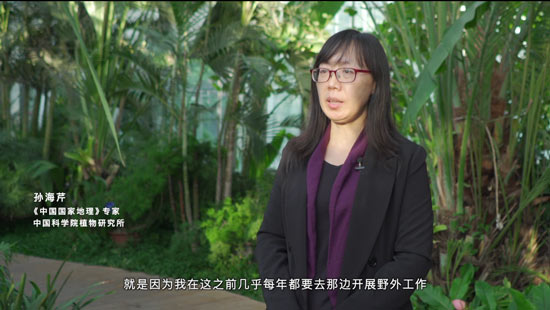 东方奇幻之美 原神携手黄龙发布联动纪录片-第4张图片