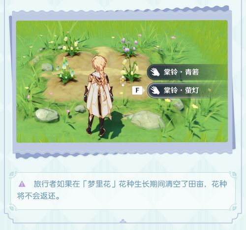 「梦里生花」玩法说明-第7张图片 「梦里生花」玩法说明-第7张图片
