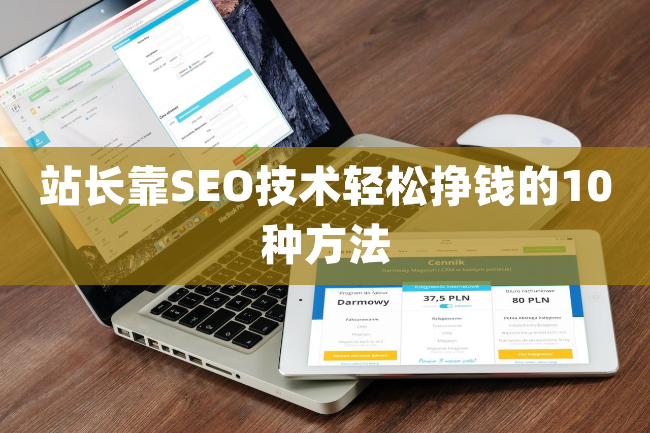 站长靠SEO技术轻松挣钱的10种方法-第1张图片