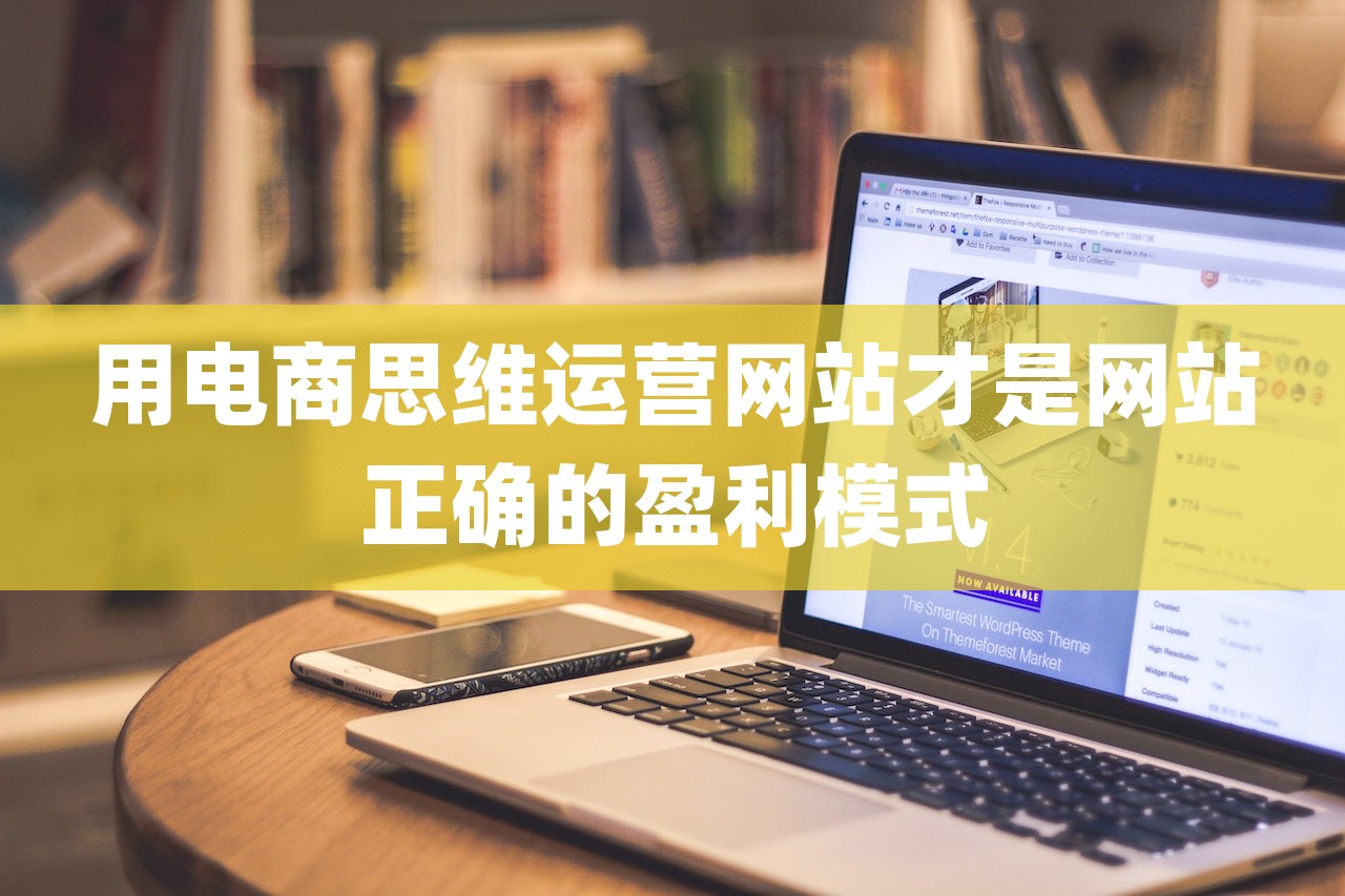 用电商思维运营网站才是网站正确的盈利模式-第1张图片