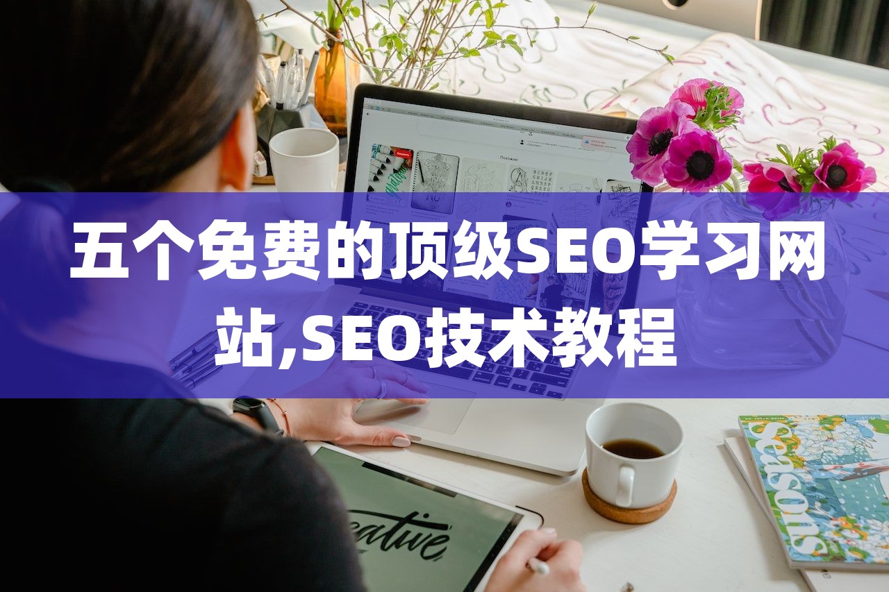 五个免费的顶级SEO学习网站,SEO技术教程-第1张图片
