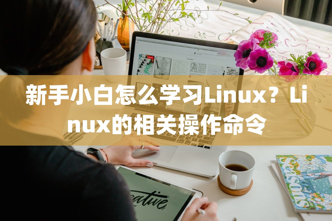 新手小白怎么学习Linux？Linux的相关操作命令-第1张图片