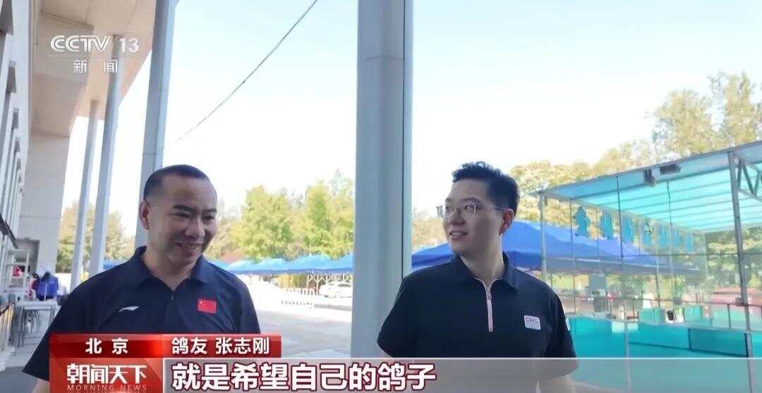 天安门广场放飞的鸽子15分钟到家了，鸽友：这是一种至高无上的荣誉-第1张图片