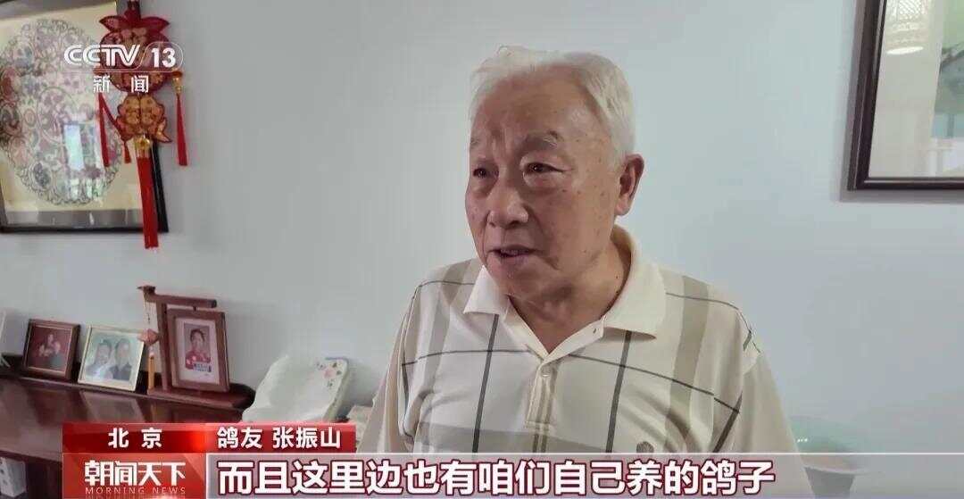 天安门广场放飞的鸽子15分钟到家了，鸽友：这是一种至高无上的荣誉-第2张图片