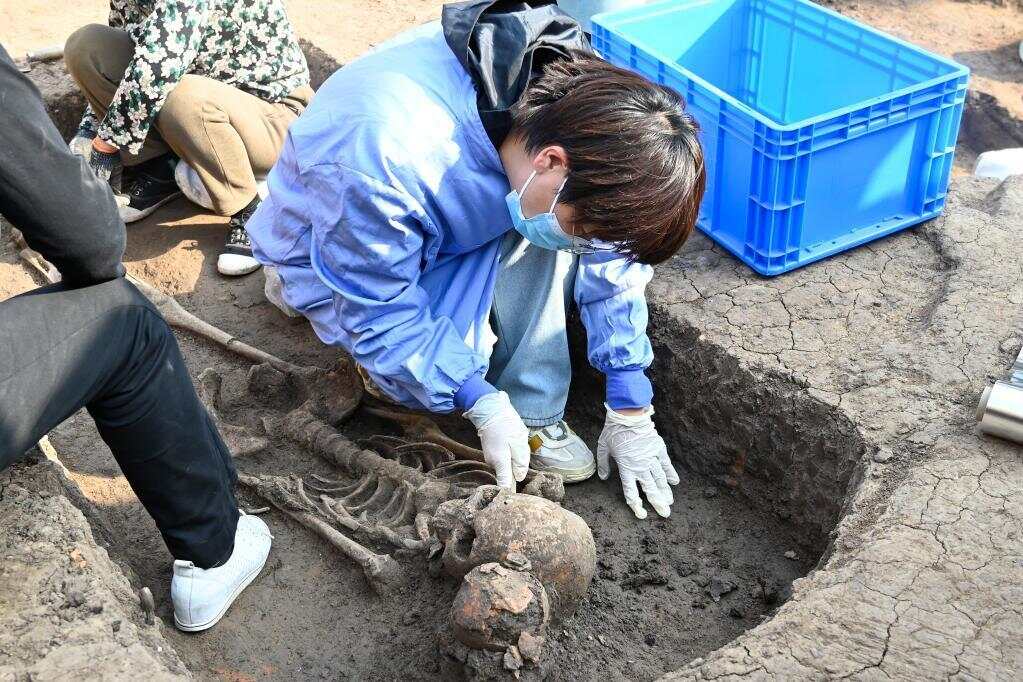 提前了约2000年！河南贾湖遗址发现8000多年前木棺-第1张图片