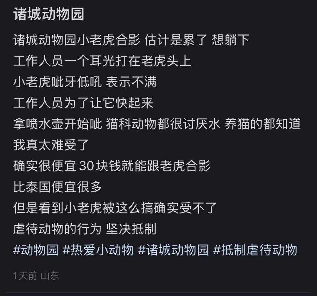 一动物园幼虎被打头喷水“强迫营业”合影，园方：项目已取消-第1张图片